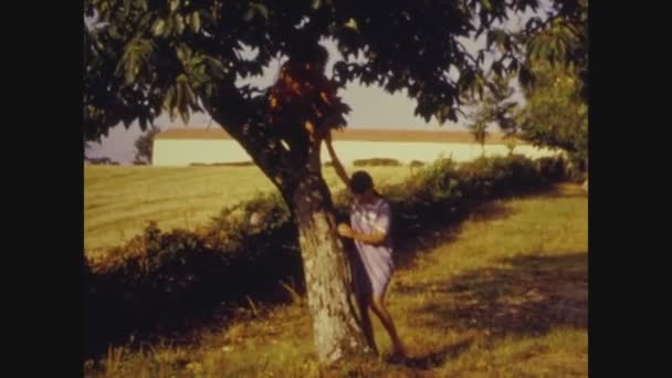 Палермо Італія 1975 Хлопці Вилазять Дерево — стокове відео