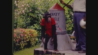 MIAMI, Birleşik Devletler Haziran 1973: 70 'lerde maymun orman tiyatrosu, maymun gösterisi