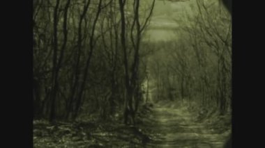 BUDAPEST, HUNGARY Mayıs 1969: 60 'lardaki korkunç çıplak dallar ormanı