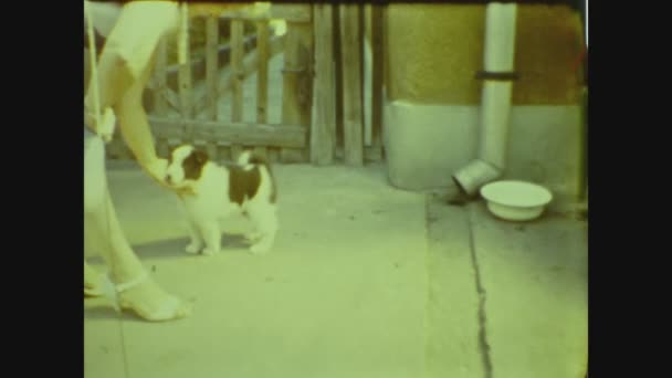 Fertod Hungary June 1988 80年代养小狗的人 — 图库视频影像