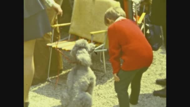 Debrecen Hunagry June 1972 Child Dogs 70S — Stock Video