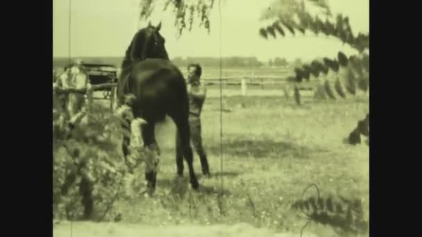 Nuevo México Estados Unidos Mayo 1969 Campo Rancho Con Caballos — Vídeo de stock