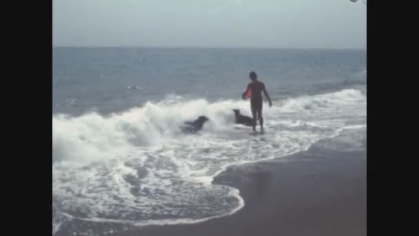Mijas Spanien Juni 1979 Leka Med Hundarna Stranden Talet — Stockvideo