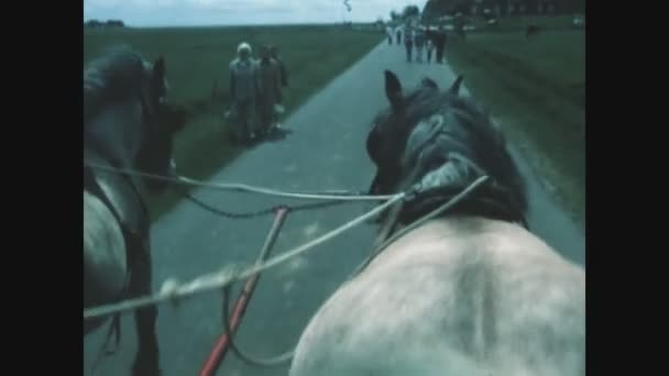Foehr Germania Giugno 1985 Punto Vista Cavallo Negli Anni — Video Stock