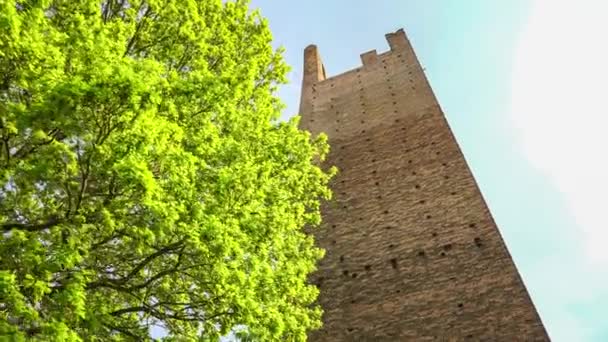 Torre Dona Torre Grimaldi Duas Antigas Torres Rovigo Itália — Vídeo de Stock