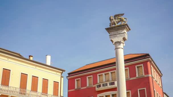 Giuseppe Garibaldi Square Rovigo Italy Winged Lion Stele — Stock Video