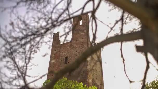 Башня Дона Башня Гримальди Две Древние Башни Ровиго Италия — стоковое видео