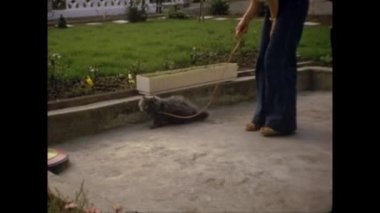 Amsterdam, Hollanda Mayıs 1969: 60 'larda kedi tasmalı kız