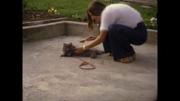 Άμστερνταμ Ολλανδία Μάιος 1969 Κορίτσι Βουρτσίζει Γάτα Στη Δεκαετία Του — Αρχείο Βίντεο