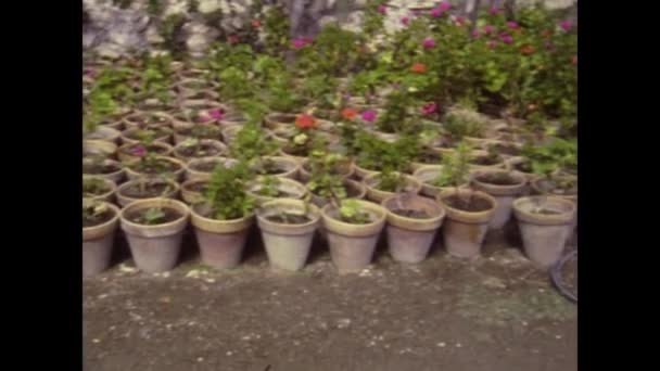 Salobrena Spain May 1970 Pots Geraniums 70S — Stock Video