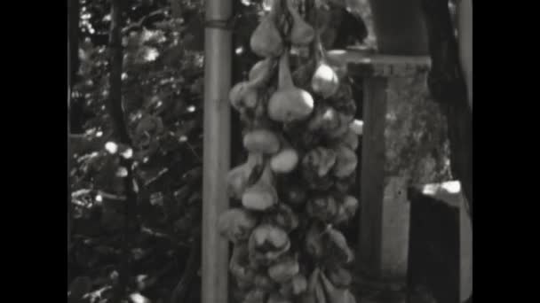 Pescaseroli Italië Augustus 1957 Het Verzorgen Van Tuin Jaren — Stockvideo