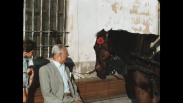 Terni Italy May 1955 Family Outdoor People Sitting Bench Horse — ストック動画