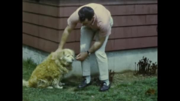 美国林恩可能是1960年 60多岁的人和狗在花园里 1960年代的美国生活场景 — 图库视频影像