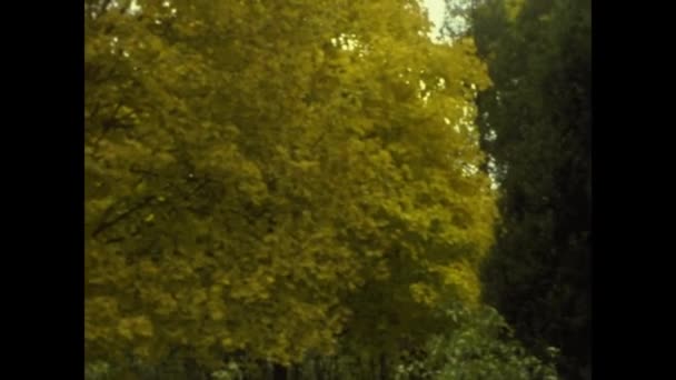 Arizona United States October 1975 Trees Lose Leaves Fall 70S — Stok Video