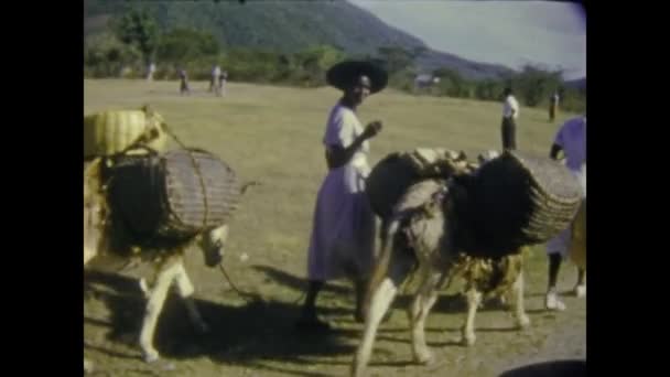 Kingston Jamaica June 1959 Jamaican Peasants Scene — стоковое видео