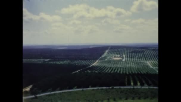 Kalifornien Usa Juni 1965 Kalifornien Landsbygd Kuperat Landskap Talet — Stockvideo