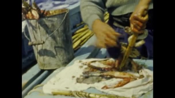 Grimaud France Juin 1958 Pêcheurs Sur Bateau Dans Les Années — Video