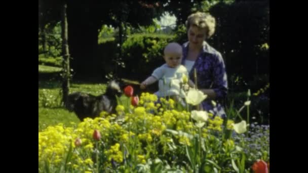 Grimaud France June 1958 Mom Children Garden Portrait 50S — стоковое видео