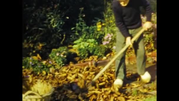 Paris France October 1958 Farmer Collects Leaves Autumn 50S — Vídeos de Stock