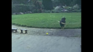 Paris, Fransa Haziran 1953: Büyükbaba ve küçük kız 50 'li yıllarda bahçede köpekle oynuyorlar