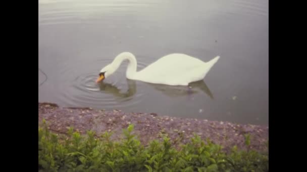 Rome Italien April 1974 Villa Adriana Rom Talet — Stockvideo