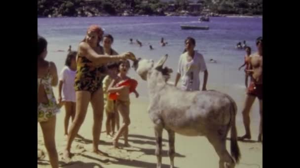 Espiritu Santo Island Mexico Αυγουστοσ 1974 Γάιδαρος Στην Παραλία Τους — Αρχείο Βίντεο