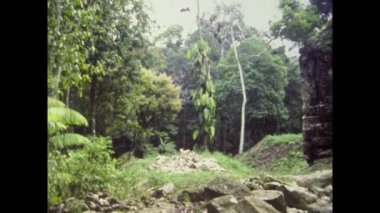 TIKAL, GUATEMALA EKİM 1978: 70 'lerde Tikal arkeolojik alanı
