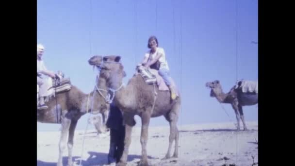 Casablanca Morocco Czerwca 1977 Beduińskie Wielbłądy Maroko Pustynia Latach Tych — Wideo stockowe