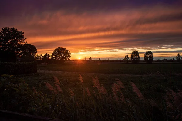 Atardecer Oro Paisaje Rural Día Verano Italia —  Fotos de Stock