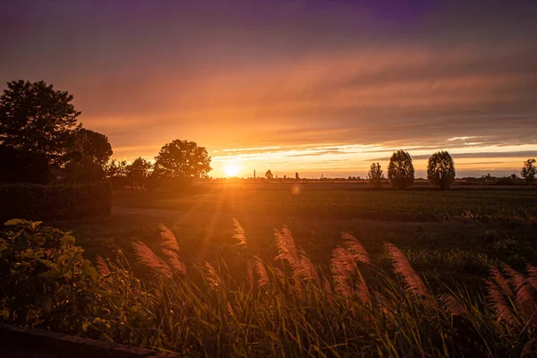 Золотая Панорама Сельской Местности Закат Летний День Италии — стоковое фото