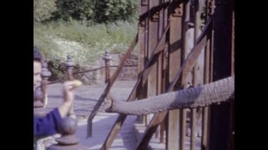 Roma, İtalya 1964: 60 'larda hayvanat bahçesindeki hayvanlar