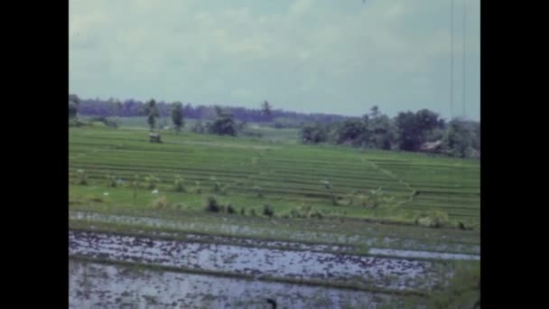 Bali Indonésie Mai 1973 Rizières Indonésie Dans Les Années — Video