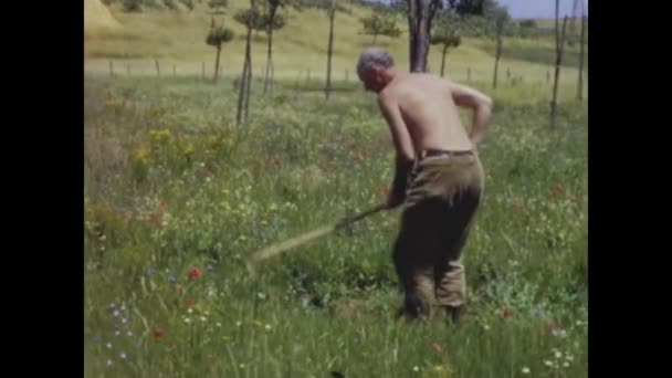Roma Italia Mayo 1964 Old Farmer Trabaja Los Años — Vídeo de stock