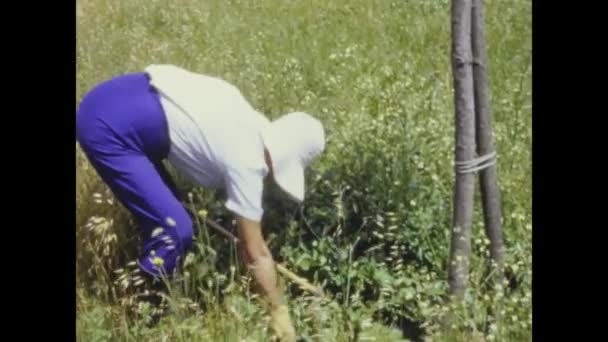 ローマ イタリア1964年5月 60歳の農家女性が働く — ストック動画