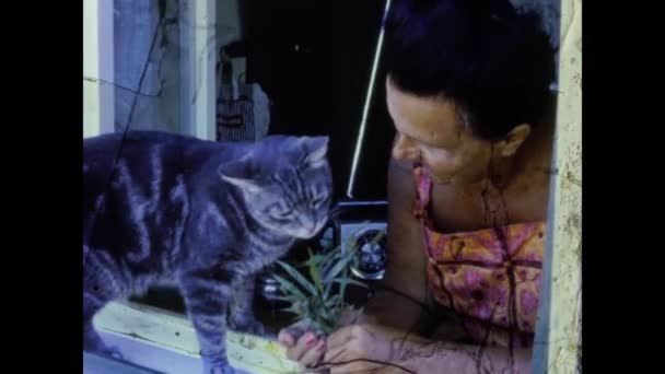 Леричи Италия Июнь 1967 Женщина Ласкает Кошку — стоковое видео
