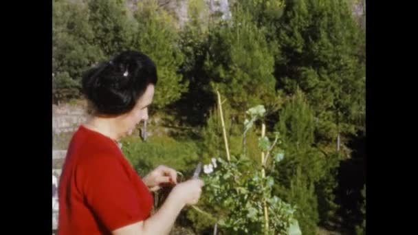 Roma Italia Maggio 1964 Donna Prende Cura Dei Fiori Sulla — Video Stock