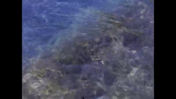 Tellaro Italien August 1965 Mediterrane Transparente Wassertextur Den 60Er Jahren — Stockvideo