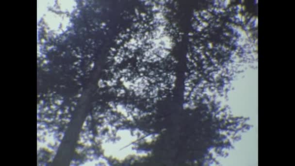 Сан Франциско Сша Май 1974 Национальный Парк Редвуд — стоковое видео