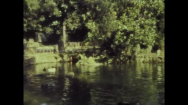 Ρώμη Ιταλία Ιούνιος 1964 Κοριτσάκι Κοιτάζει Λίμνη Παπάκια Στη Δεκαετία — Αρχείο Βίντεο