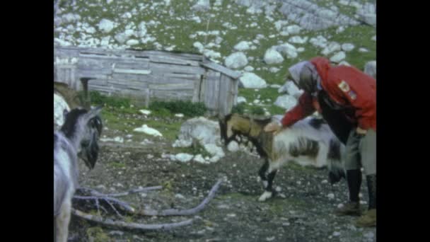Cortina Itália Maio 1964 Excursão Pessoas Dolomitas Década — Vídeo de Stock
