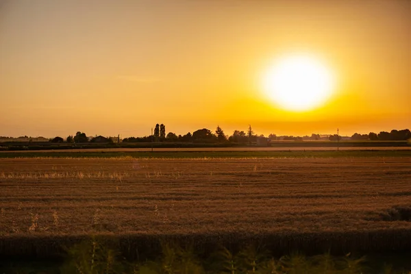 Teeltveld Zonsondergang Oranje Landschap Zomer — Stockfoto