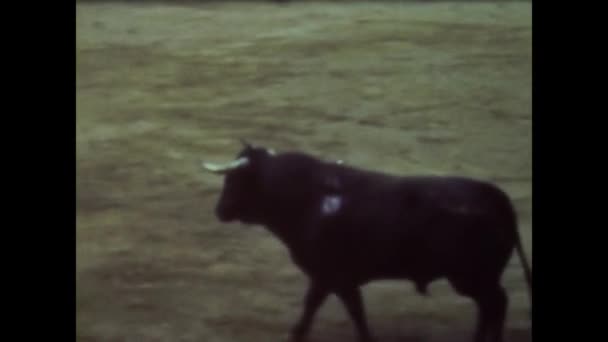 Barcelona Spanje Juni 1958 Corrida Scene Jaren — Stockvideo