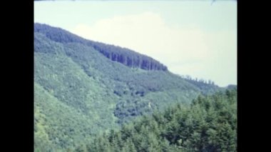 Roma, İtalya Haziran 1964: 60 'larda tepeler ve çamlar