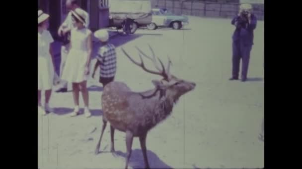 Tokio Japonia Może 1969 Ludzie Jelenie Sceny Latach Tych — Wideo stockowe