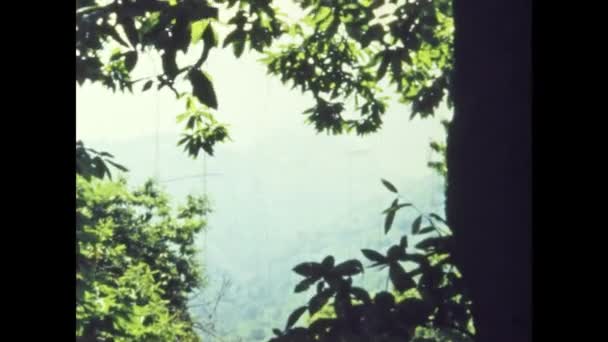 Dolomites Italy June 1964 Foliage Frame Shot 60S — Vídeos de Stock