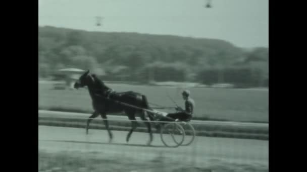 Rome Italy May 1958 Horse Racing Buggy 50S — Stock Video