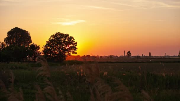 Pomarańczowy Zachód Słońca Krajobrazie Kraju Polami Okresie Letnim — Wideo stockowe