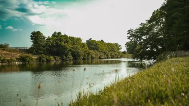Small Natural River Landscape Shot Spring — Stock Video