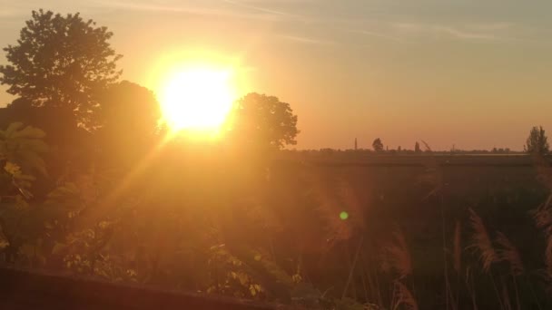 Pomarańczowy Zachód Słońca Krajobrazie Kraju Polami Okresie Letnim — Wideo stockowe
