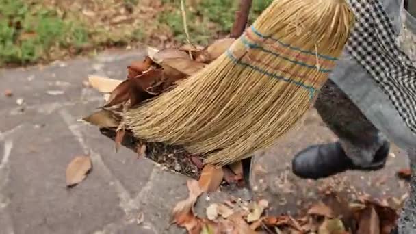 Collection Sweeping Leaves Scene Autumn — Wideo stockowe